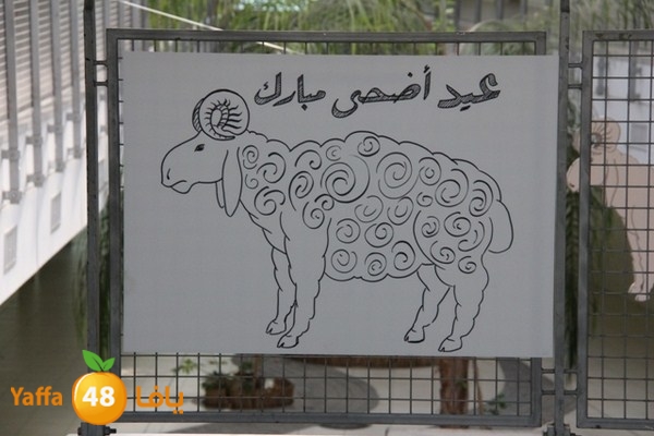 ajyal 3eeed810 (45).JPG